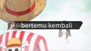 Filler yang ga bisa di skip 😭💗                                    Hancock & Luffy