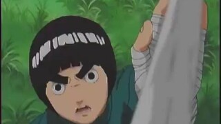 rock lee drunken master