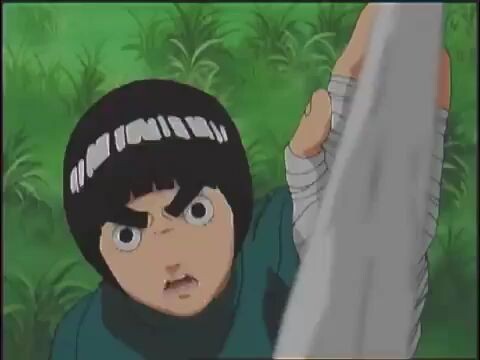 rock lee drunken master