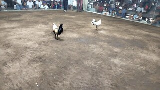 Talisay na madiskarte