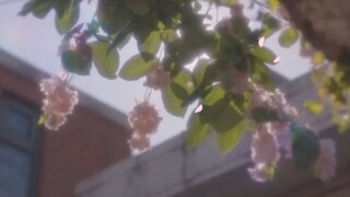 🇰🇷Ep.03 - Peach Trap (2025) EngSub