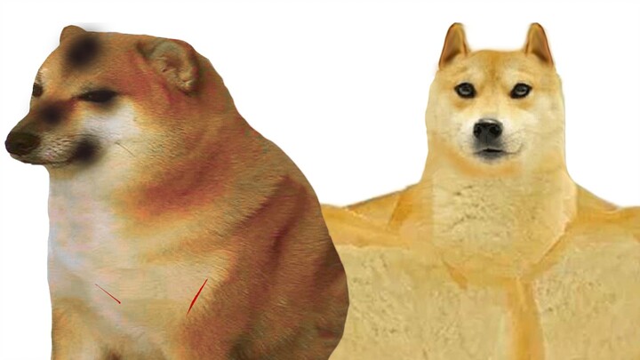 الشاب الجميل تشيمز