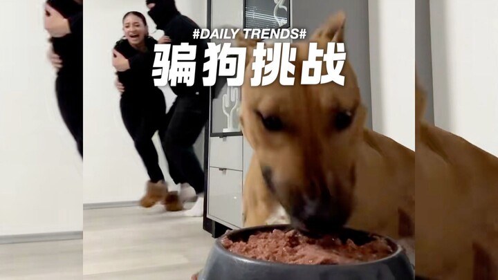 Giữa thức ăn ướt và chủ nhân, cún con sẽ chọn ai!