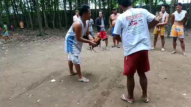 bulik Akala nila Patay na ung Pala knila patay