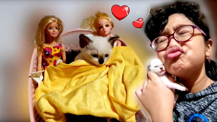 Ya Ampun Lucunya 😻 Hanum Jagain Bayi Kucing Imut Bobo Sama Boneka Barbie ❤️ Kucing Mochi