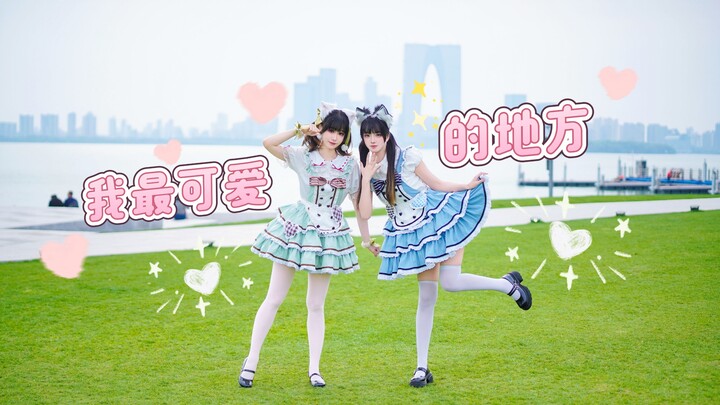 Hè này cùng hai bé mèo đi cắm trại nhé~✨ Nơi đáng yêu nhất của tôi ✨