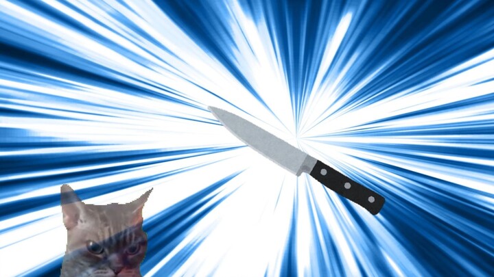 【Meme mèo】Câu chuyện bố tôi tưởng mẹ tôi dùng dao đâm thủng mắt tôi