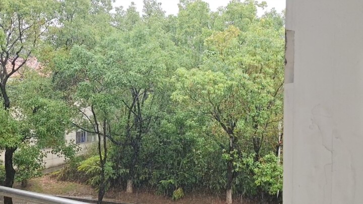 Pattering rain