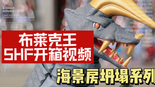 海景房坍塌 布莱克王SHF开箱视频