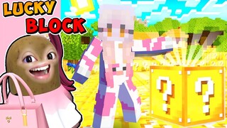 SEMUA HOKI MOMON DIPAKAI DI GAME MINECRAFT INI ft @BANGJBLOX | MINECRAFT