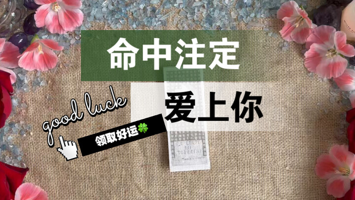 [Grandma Li’s Tarot] What Kind of Person Is Destined to Fall in Love with You: Zodiac Sign, Appearan