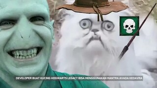 Kucing Hogwarts Legacy Bisa Menggunakan Mantra Avada Kedavra