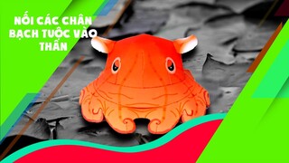 Trọng Nguyên | Nối các chân bạch tuộc vào thân