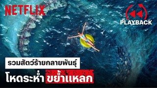 รวม 'หนังสัตว์ร้าย' กลายพันธุ์ โหดระห่ำ ขย้ำแหลก | PLAYBACK | Netflix