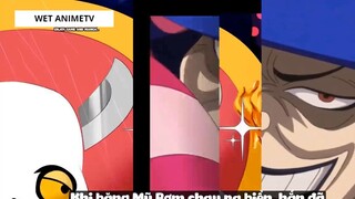 Top 10 Thanh Niên Tàn Tật Bá Đạo Trong One Piece #11 5