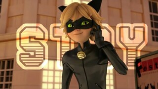 Stay- Catnoir//Adrien [Miraculous Ladybug amv]