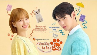 CHA EUN WOO BECOMES A TEACHER WHO IS AFRAID OF DOGS - KOREAN DRAMA SYNOPSIS