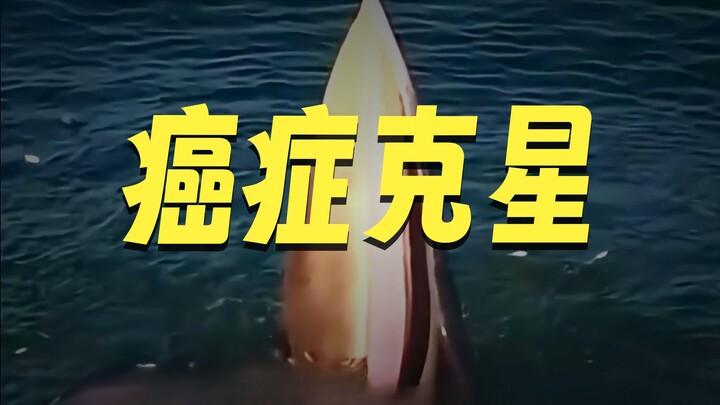 Mengapa Paus Biru Dianggap Sebagai Celah dalam Kehidupan di Bumi?