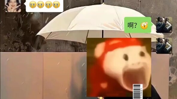 哈哈哈哈