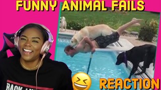 Cuteness Overload ☺️ Try Not To Laugh Watching Funny Animal Fails Compilation Reaction | ImStillAsia