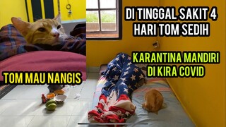 Kucing Tom Setia Banget Menemani Di Saat Aku Sakit..!