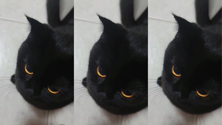 Kalau kamu tidak memeluk bayi, justru bayi yang akan memelukmu!