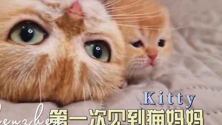 Lần đầu tiên cô ấy gặp mẹ