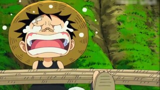 Luffy, tôi rất mong chờ tương lai của cậu [Vua Hải Tặc / Ngày đặc biệt dành cho trẻ em / ASL]