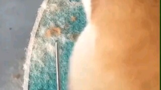 只要抖的跟它同频就不算在抖