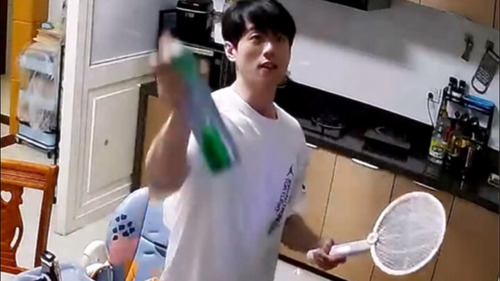 "Rare Footage of Insects Single-Handedly Taking Down Humans"