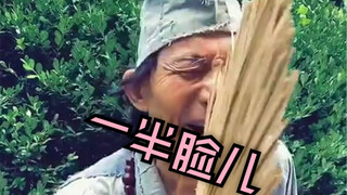 一半脸儿