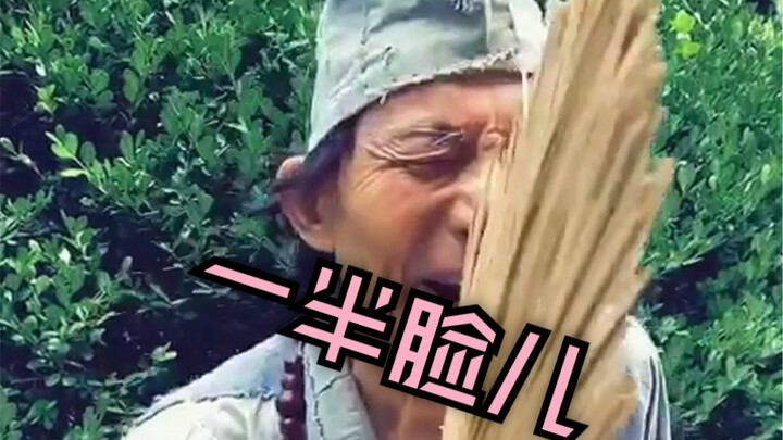 一半脸儿