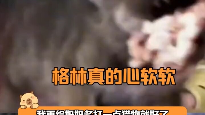 Trở lại bầy sói: Qiao Mo lén ăn đồ ăn mà Green dành cho mẹ. Mỗi ngày, ngay khi mở mắt ra, Green đã p