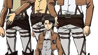 Levi Shorty