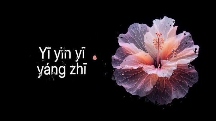 Chinese music