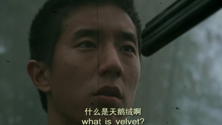 那天鹅绒是你能找的啊？一枪打醒你