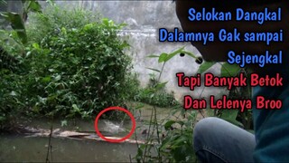 Mancing Ikan Betok Di Selokan Kecil dan Dangkal Ini Bonusnya Ikan Lele