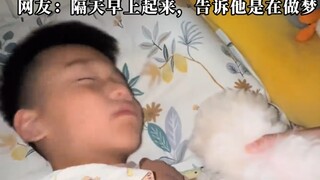 Mom secretly bought a puppy and gave it to her son in the middle of the night; he instantly woke up,