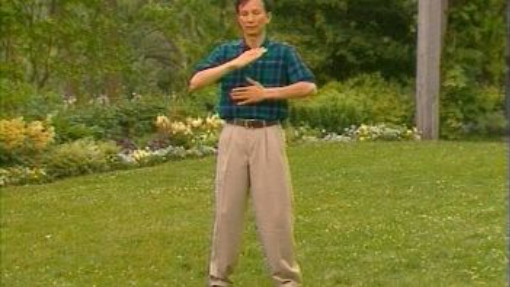 Spring Forest QiGong Video Instruction