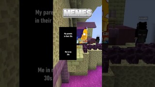 Funniest Memes Whilst Playing Minecraft