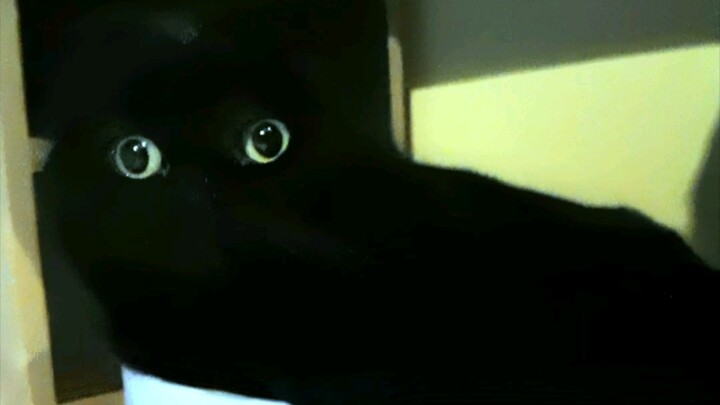 Tinggalkan ide-ide kreatif kalian di kolom komentar atau di kolom komentar melayang! Saya akan memil