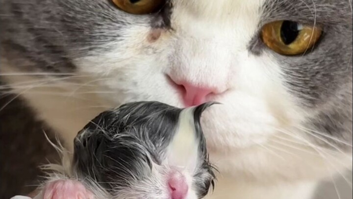 What a disastrous start!