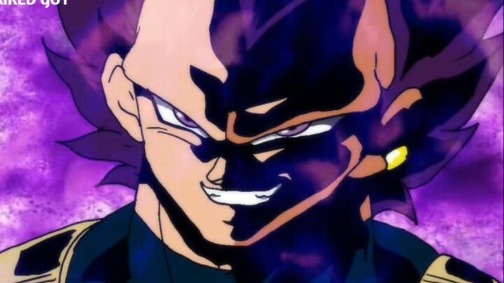 Self-Extreme Will Vegeta vs. Granola - Fan Animation