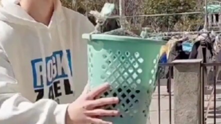 หนุ่มใช้ถังขยะปั่นแห้งเสื้อผ้าอย่างชาญฉลาด ถังขยะ: ไม่คิดเลยว่าวันหนึ่งฉันจะโดนใช้ให้แห้งแบบนี้!