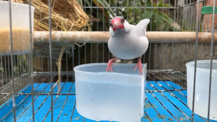 Looks like you’re doomed to be forever single—your girlfriend ran off again.