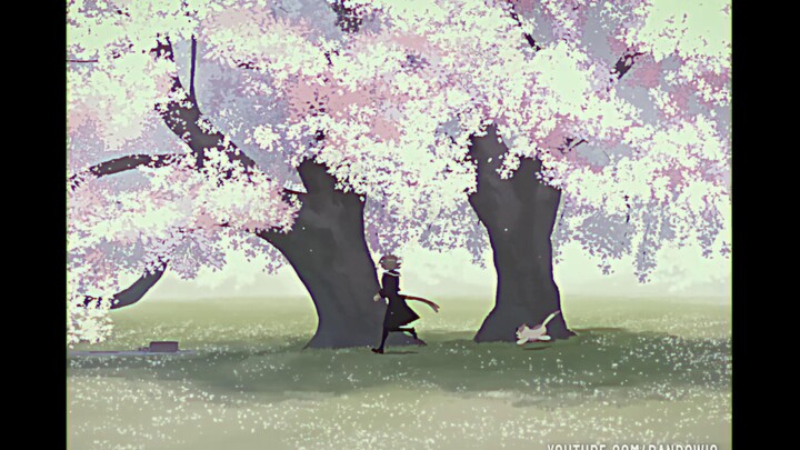 [pinku.pa-puru]—RandoWis