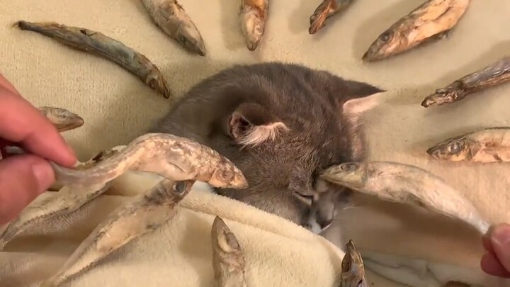 แม่ หนูขอหลับต่ออีกแค่ห้านาทีนะ