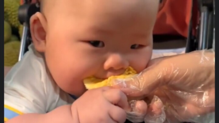 Những chú cún con đáng yêu thế này thì tôi có thể ăn hết từng con một luôn