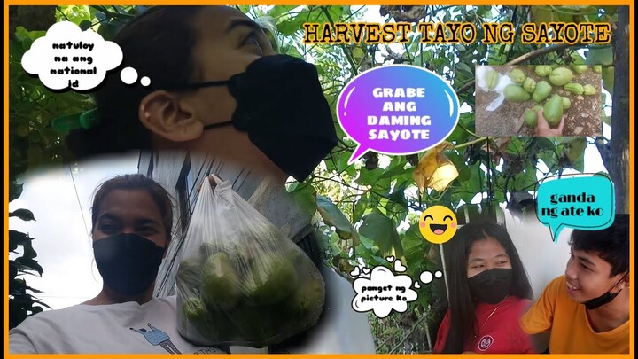 NAKAPAGnational id na kami / HARVEST NADIN NG SAYOTE / simply gina vlog#13