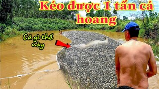 Team Săn Bắt Ẩm Thực Vùng Cao Bất Ngờ Kéo Trúng Hàng Tấn Cá Ở Ao Hoang|Cà Bành TV